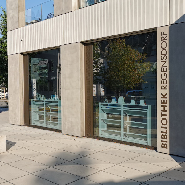 Sonnenschutzfolie SOL-50XP Premium - silber hell