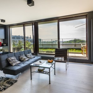 Sonnenschutzfolie SOL-pl50 platin hell